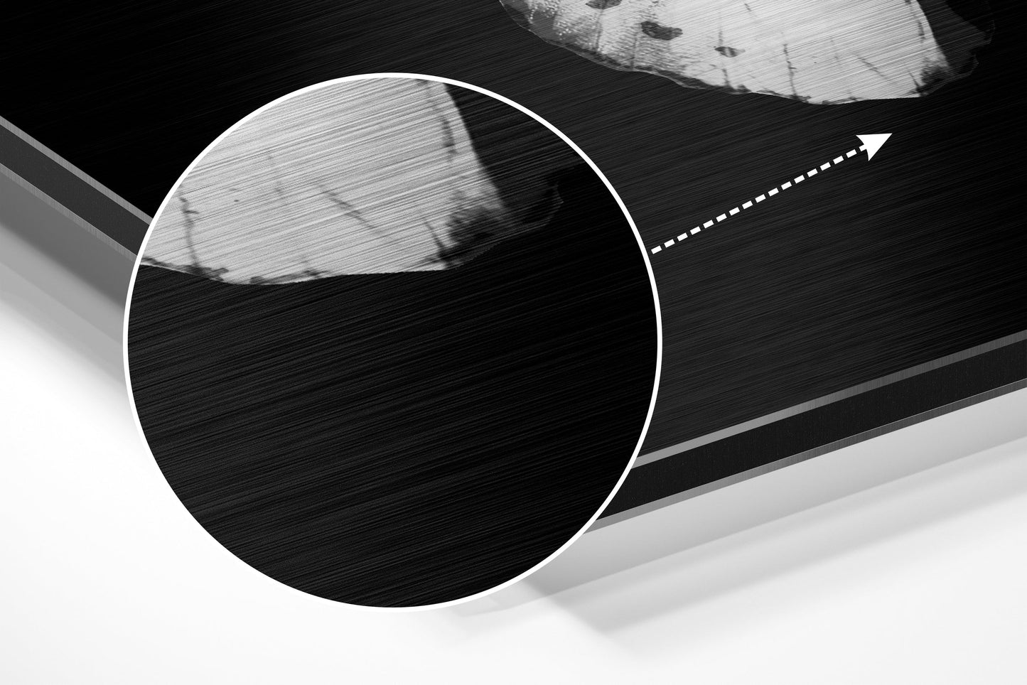 Brushed Aluminium Dibond Wall Art