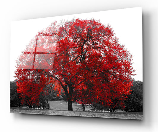 Tagliere in vetro temperato