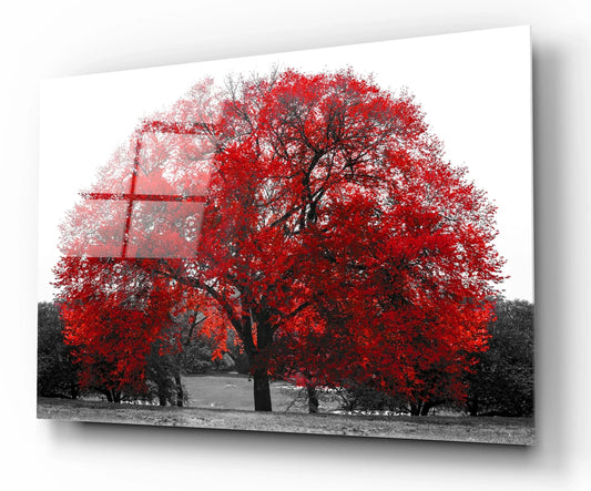 Red Tree Glass Wall Art - LUXARTDECO