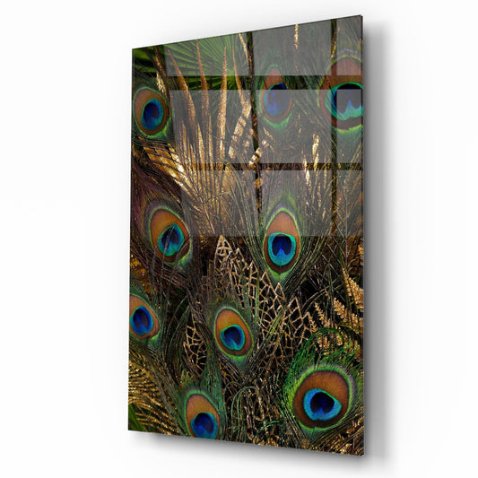 Peacock Feather Glass Wall Art