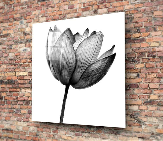 Lotus Glass Wall Art - LUXARTDECO