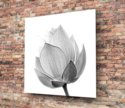 Lotus Glass Wall Art - LUXARTDECO