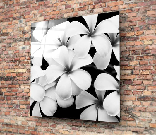 Plumeria Flowers Glass Wall Art - LUXARTDECO