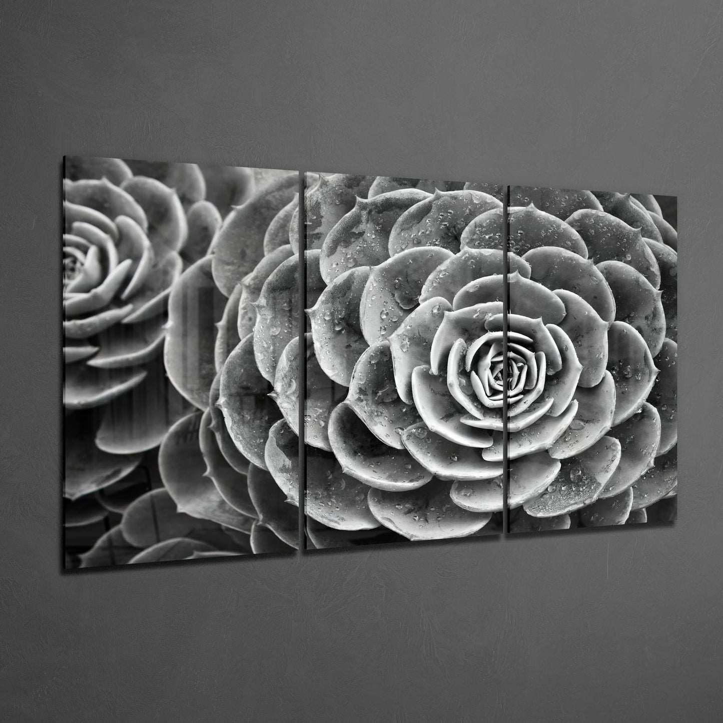 Glass Wall Art