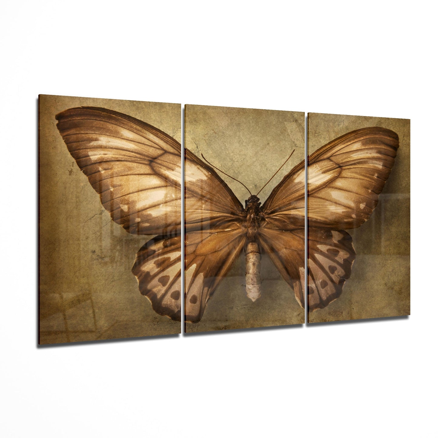 Butterfly Glass Art