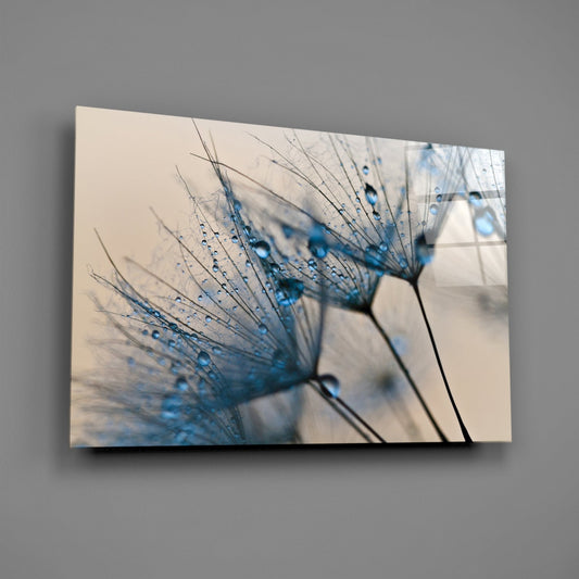 Glass Wall Art