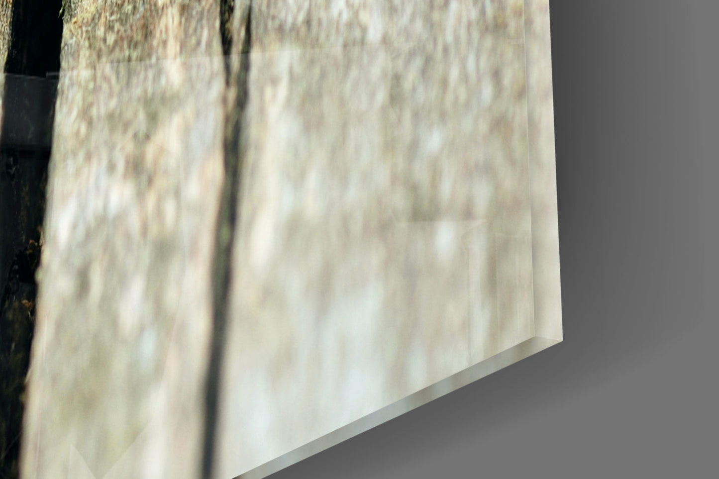 Glass Wall Art