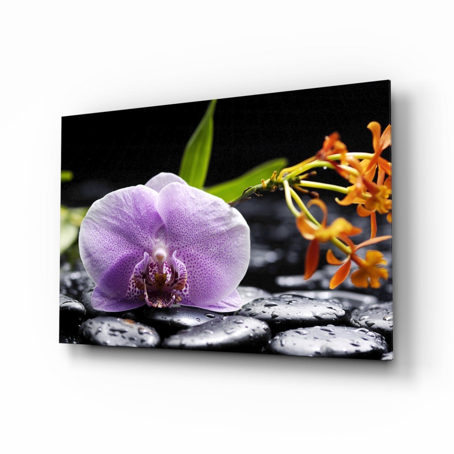 Glass Wall Art