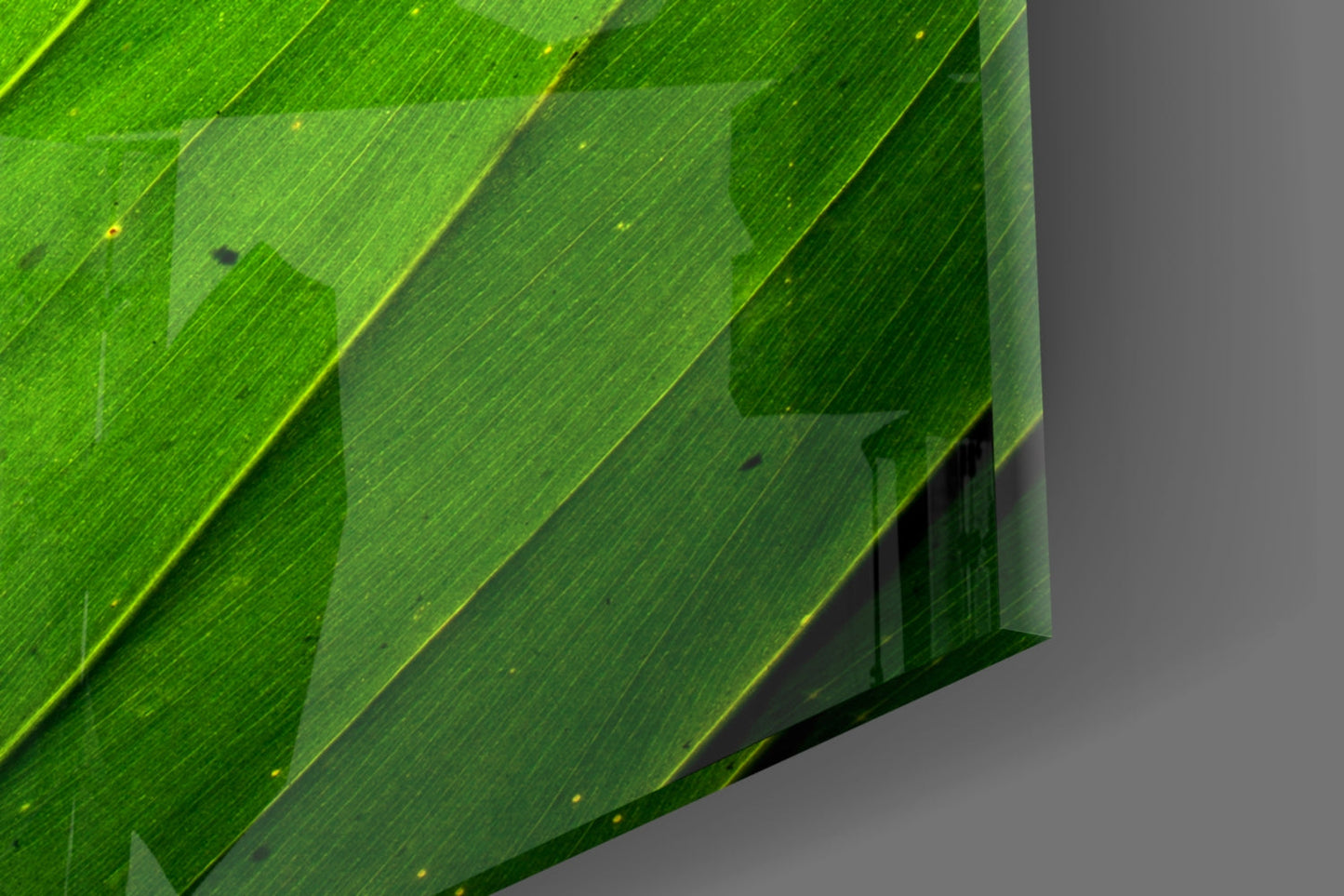 Glass Wall Art
