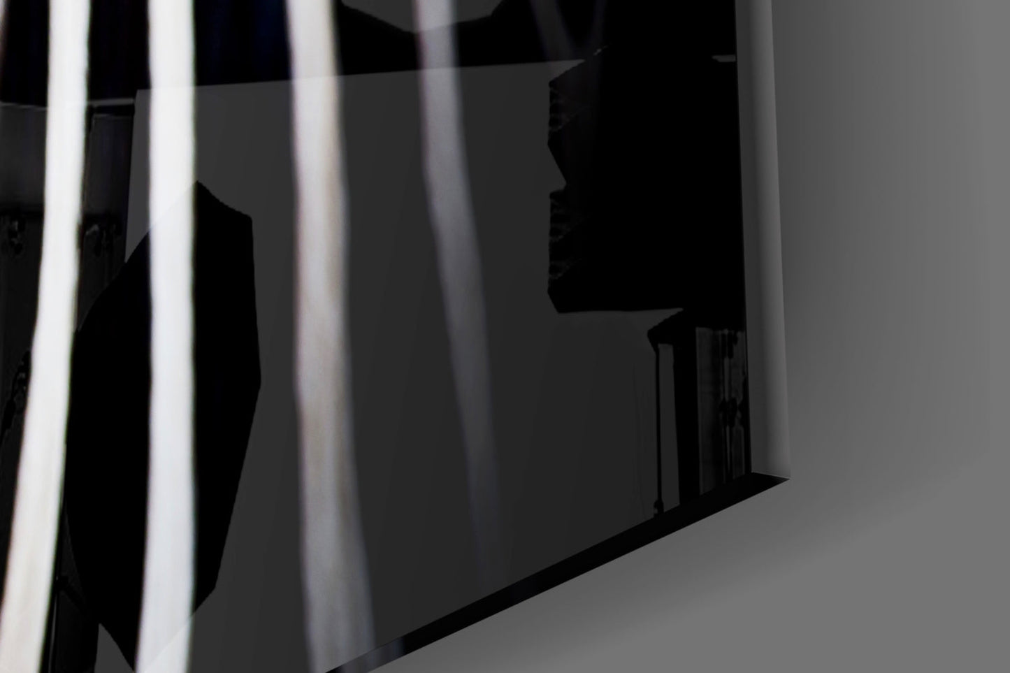 Zebra Glass Wall Art