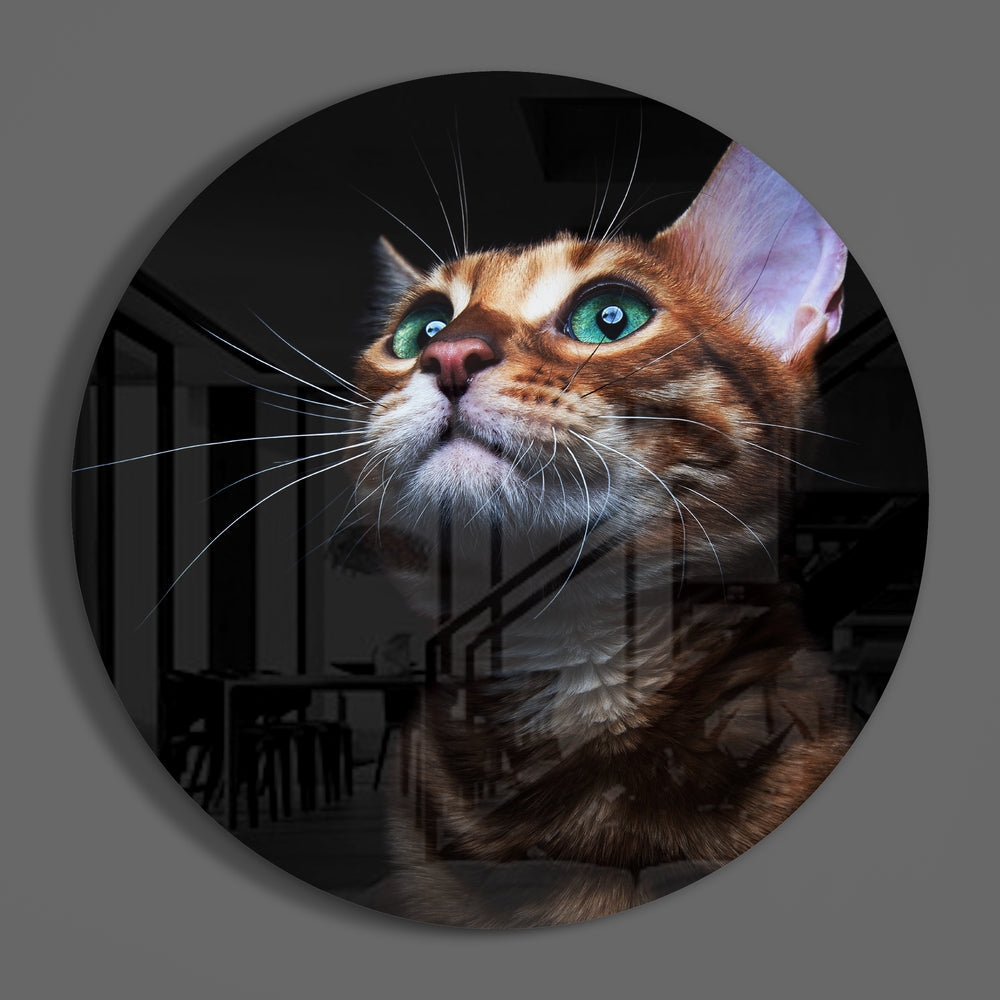 Cat Glass Wall Art