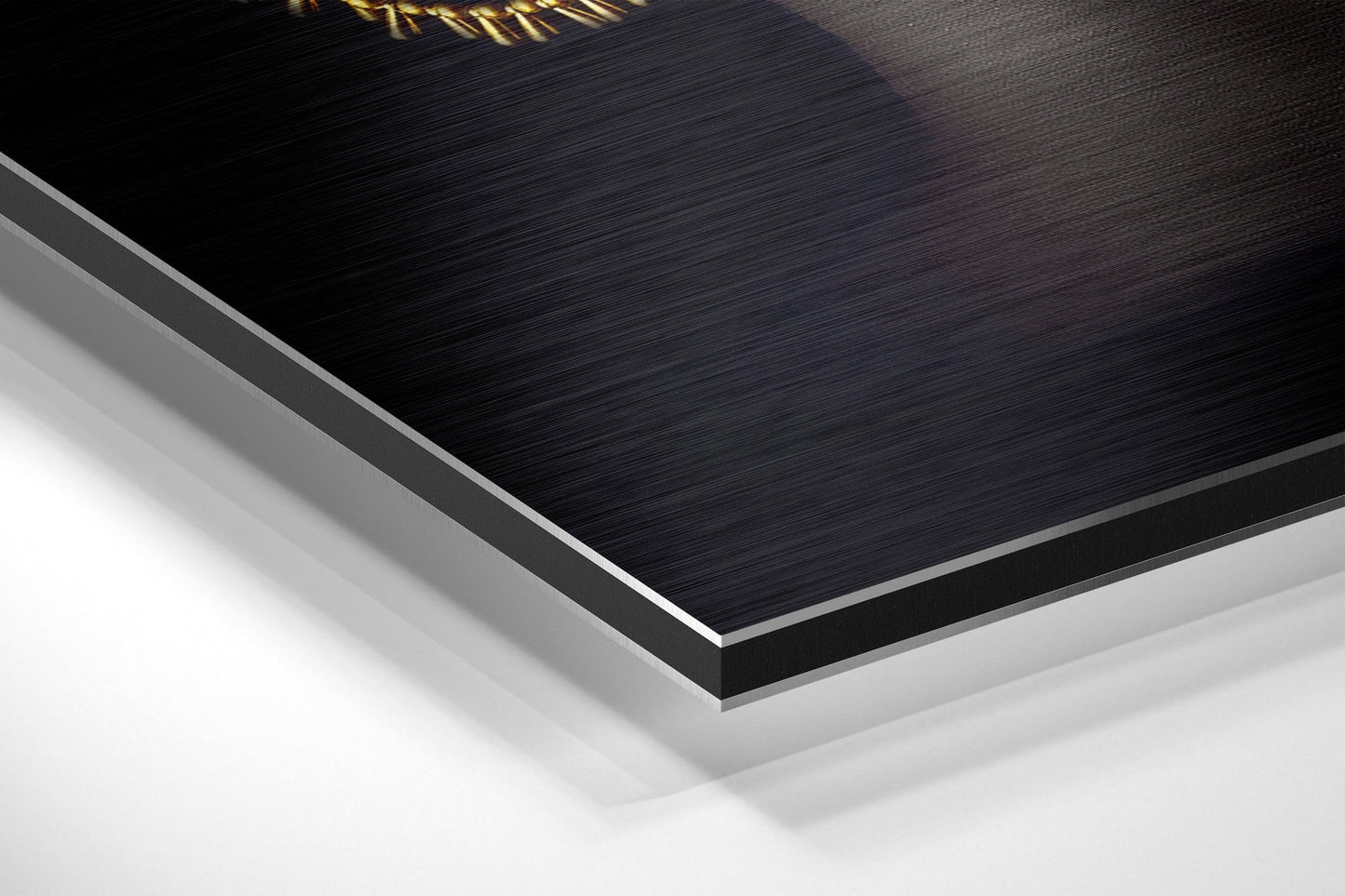 Brushed Aluminium Dibond Wall Art