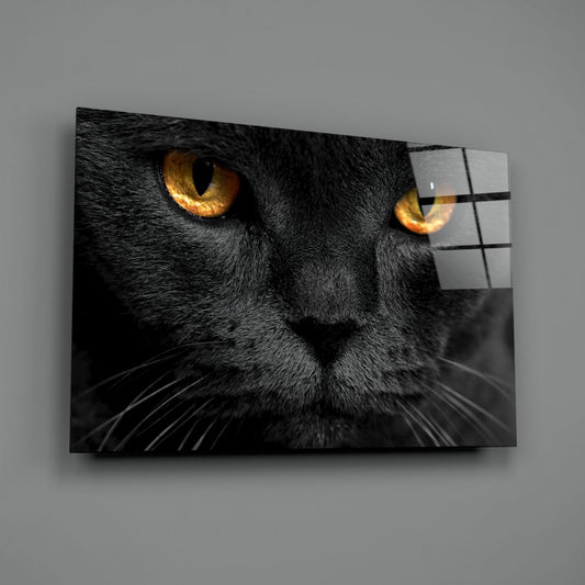 Cat Glass Wall Art