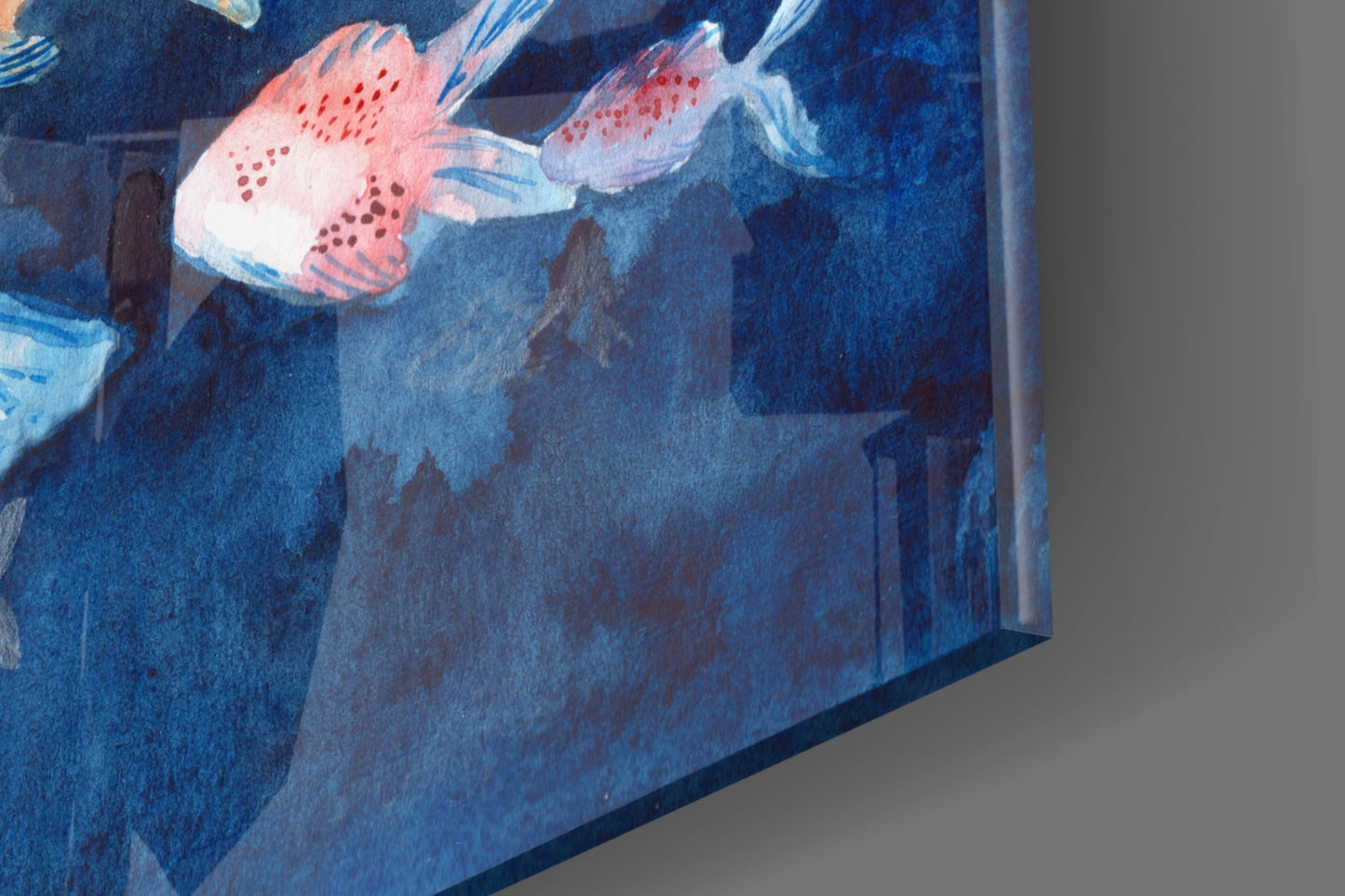 Illustration Fishes Glass Wall Art