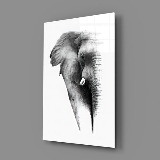 Elephant Glass Wall Art