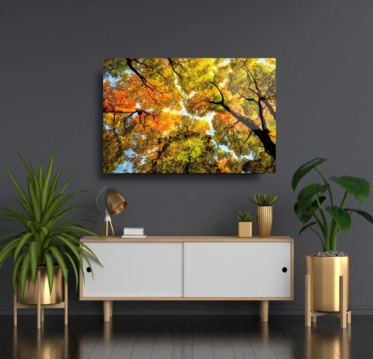 Autumn Trees Glass Wall Art - LUXARTDECO