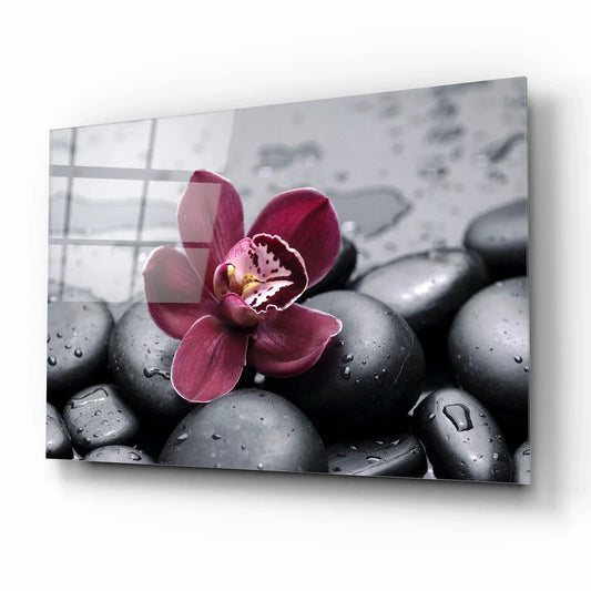 Orchid and Stones Glass Wall Art - LUXARTDECO