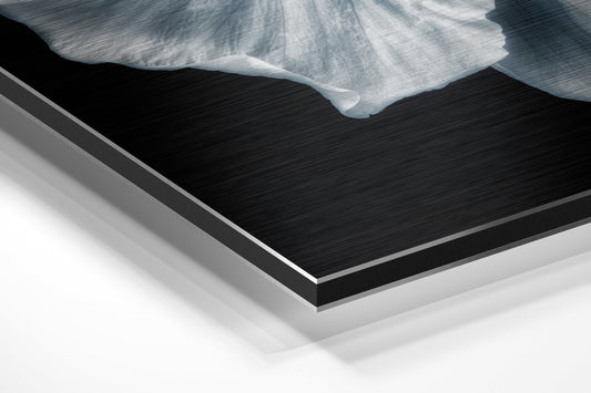 Brushed Aluminium Dibond Wall Art