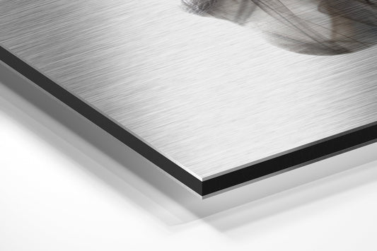 Brushed Aluminium Dibond Wall Art