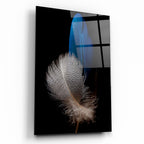 Duo Feathers Glass Wall Art