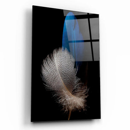Gray and Blue Feathers Glass Wall Art - LUXARTDECO