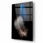 Duo Feathers Glass Wall Art