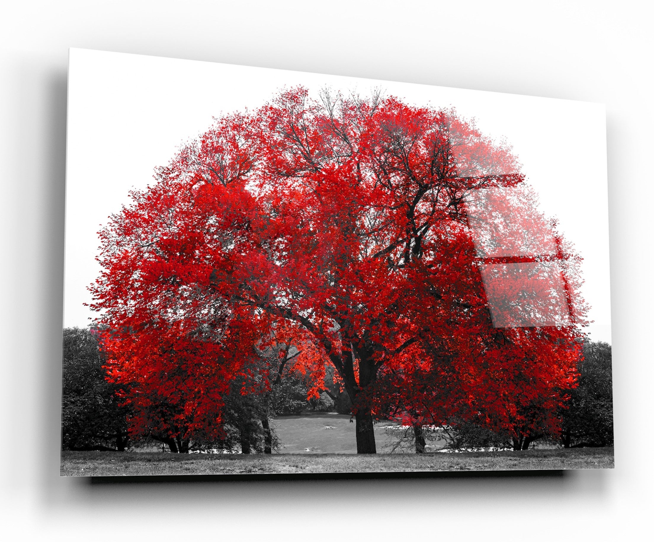 Décoration murale en verre Arbre rouge 