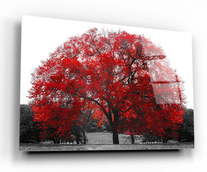 Red Tree Glass Wall Art - LUXARTDECO
