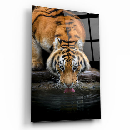 Tiger Tableau en Verre Trempé