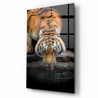 Tiger Tableau en Verre Trempé