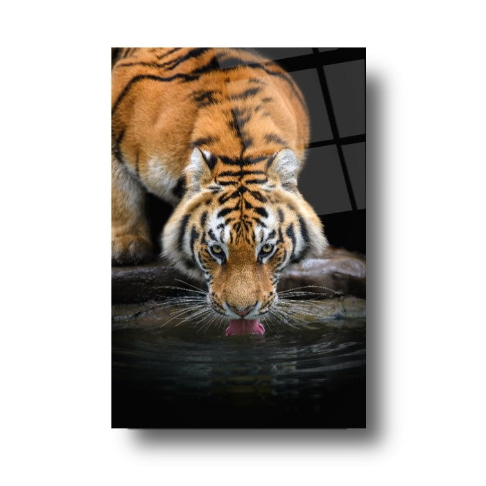 Tiger Tableau en Verre Trempé