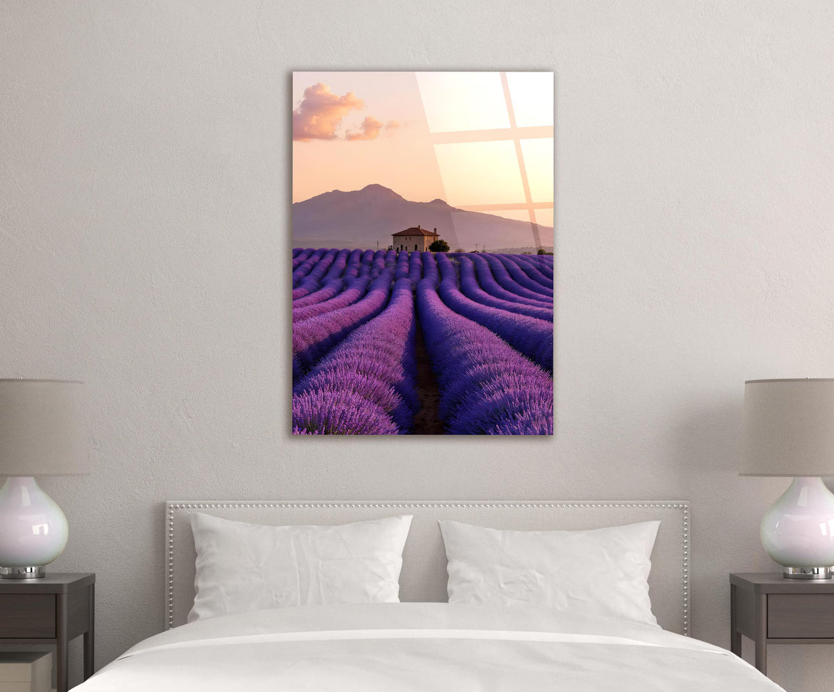 Provence Lavender Field Glass Wall Art