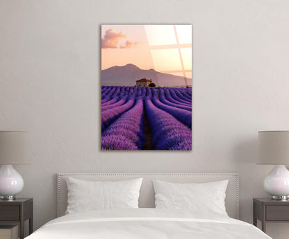Provence Lavender Field Glass Wall Art