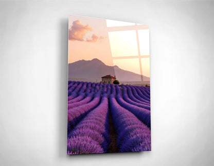 Provence Lavender Field Glass Wall Art
