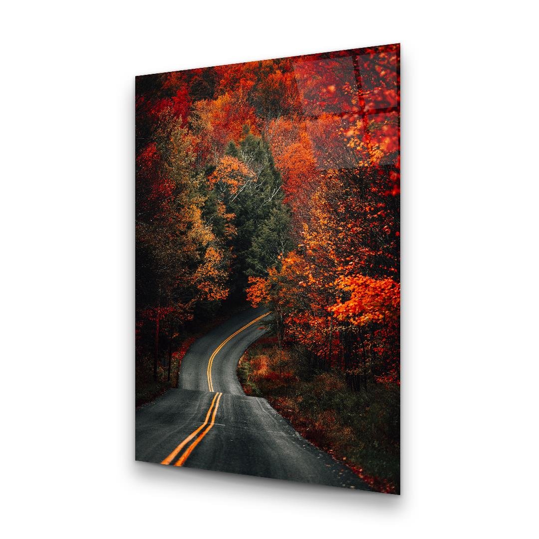 Autumn Forest Road Glass Wall Art