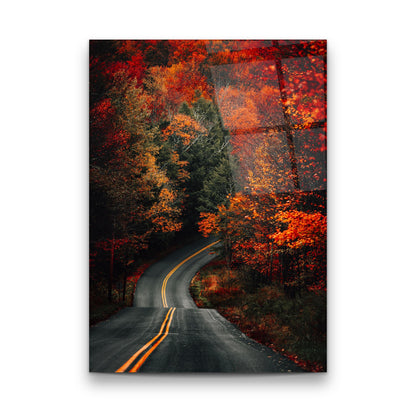 Autumn Forest Road Glass Wall Art