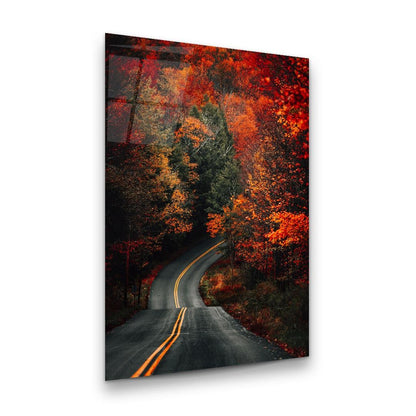 Autumn Forest Road Glass Wall Art