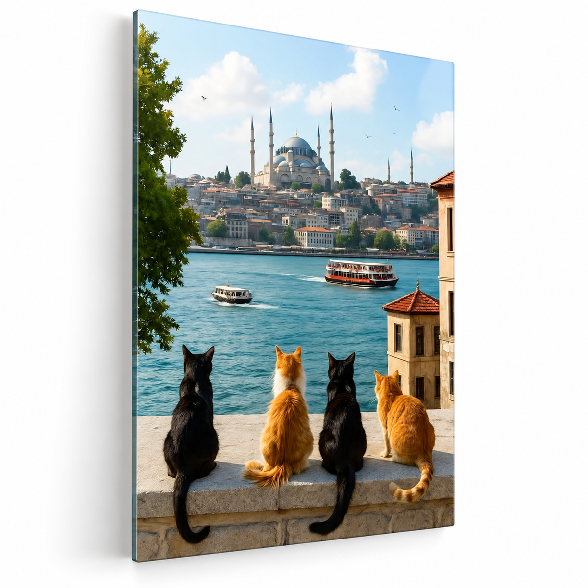 Istanbul Cats Glass Wall Art