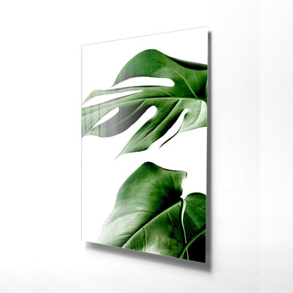 Feuilles de Monstera Tableau en Verre Trempé