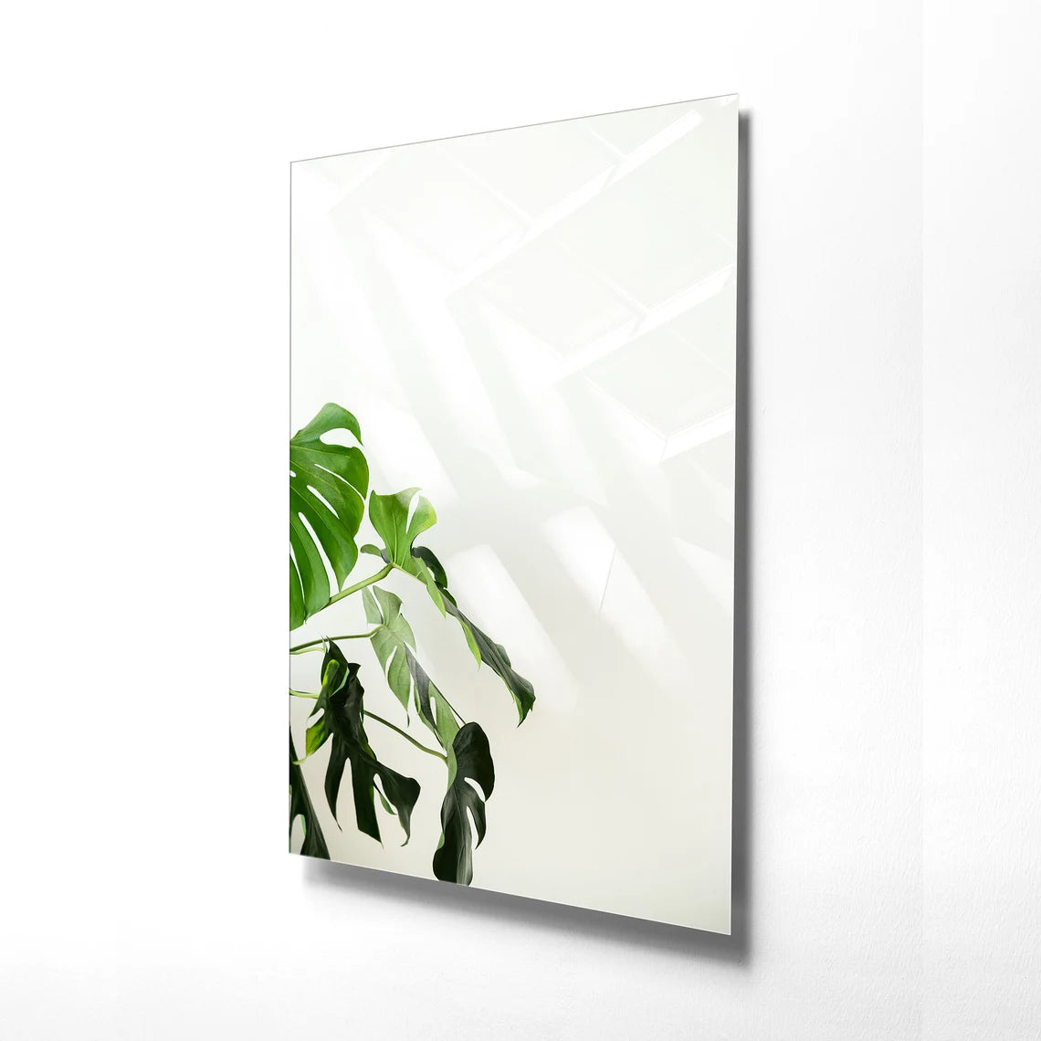Foglie di Monstera Quadro in Vetro Temperato