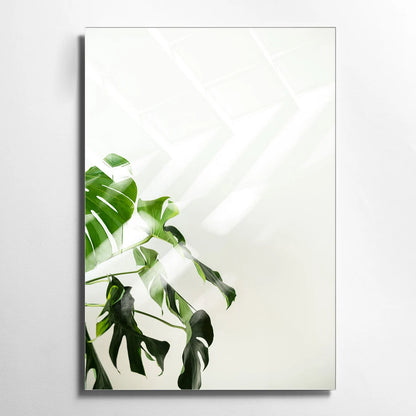 Foglie di Monstera Quadro in Vetro Temperato