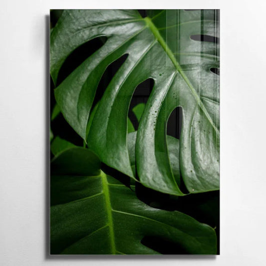Feuille de Monstera Tableau en Verre Trempé