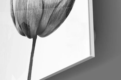 Lotus Glass Wall Art - LUXARTDECO