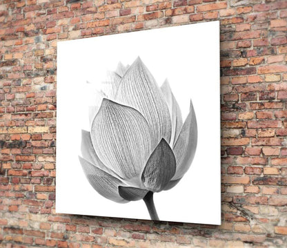 Lotus Glass Wall Art - LUXARTDECO