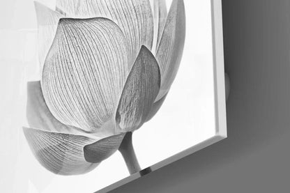Lotus Glass Wall Art - LUXARTDECO