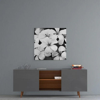 Plumeria Flowers Glass Wall Art - LUXARTDECO