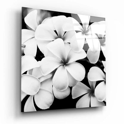 Plumeria Flowers Glass Wall Art - LUXARTDECO