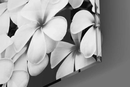 Plumeria Flowers Glass Wall Art - LUXARTDECO