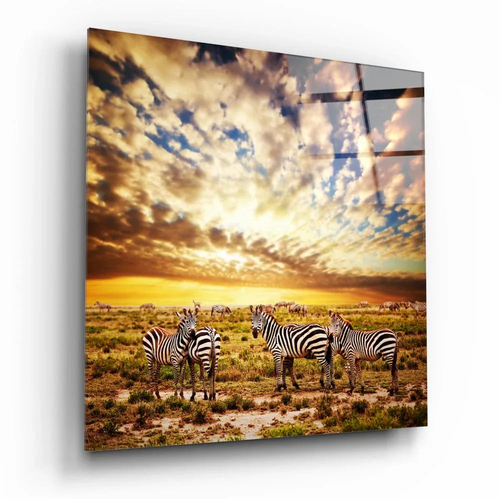 Zebras Glass Wall Art - LUXARTDECO