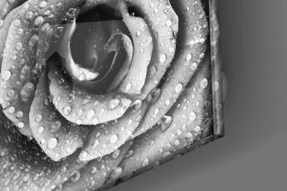 Rose Glass Wall Art - LUXARTDECO